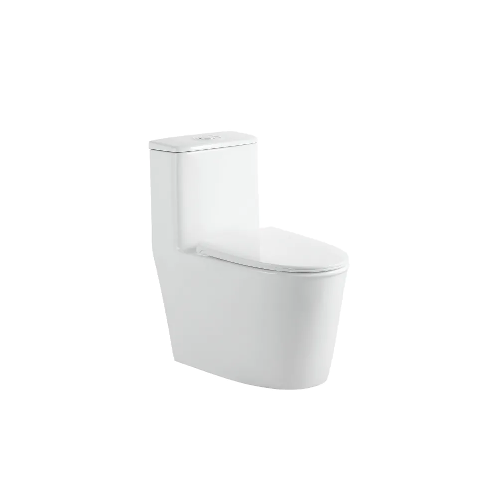 Bồn cầu liền khối Bramen Aqua A6